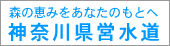 �_�ސ쌧�c����